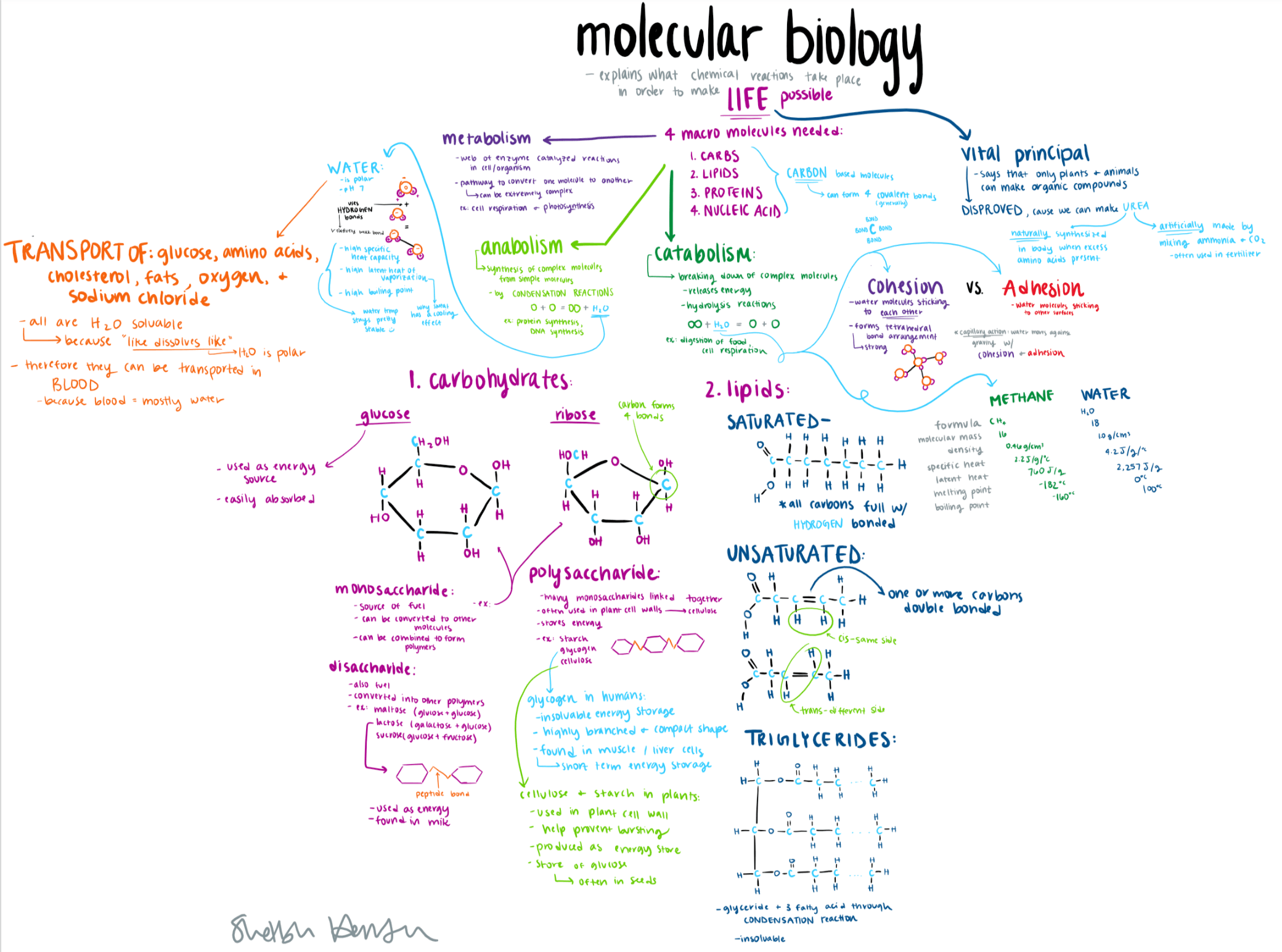 Molecules of Life - Mr. Rott's Science Room