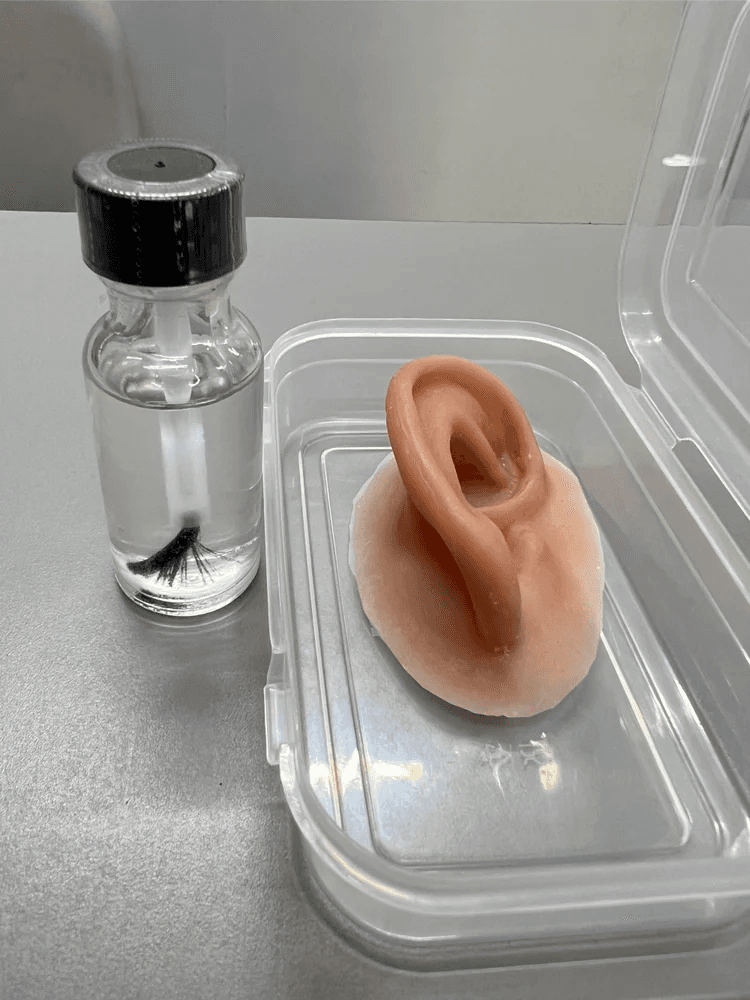 Ocular Silicone Ear Prosthesis at ₹ 25000 in New Delhi | ID: 2851734588891