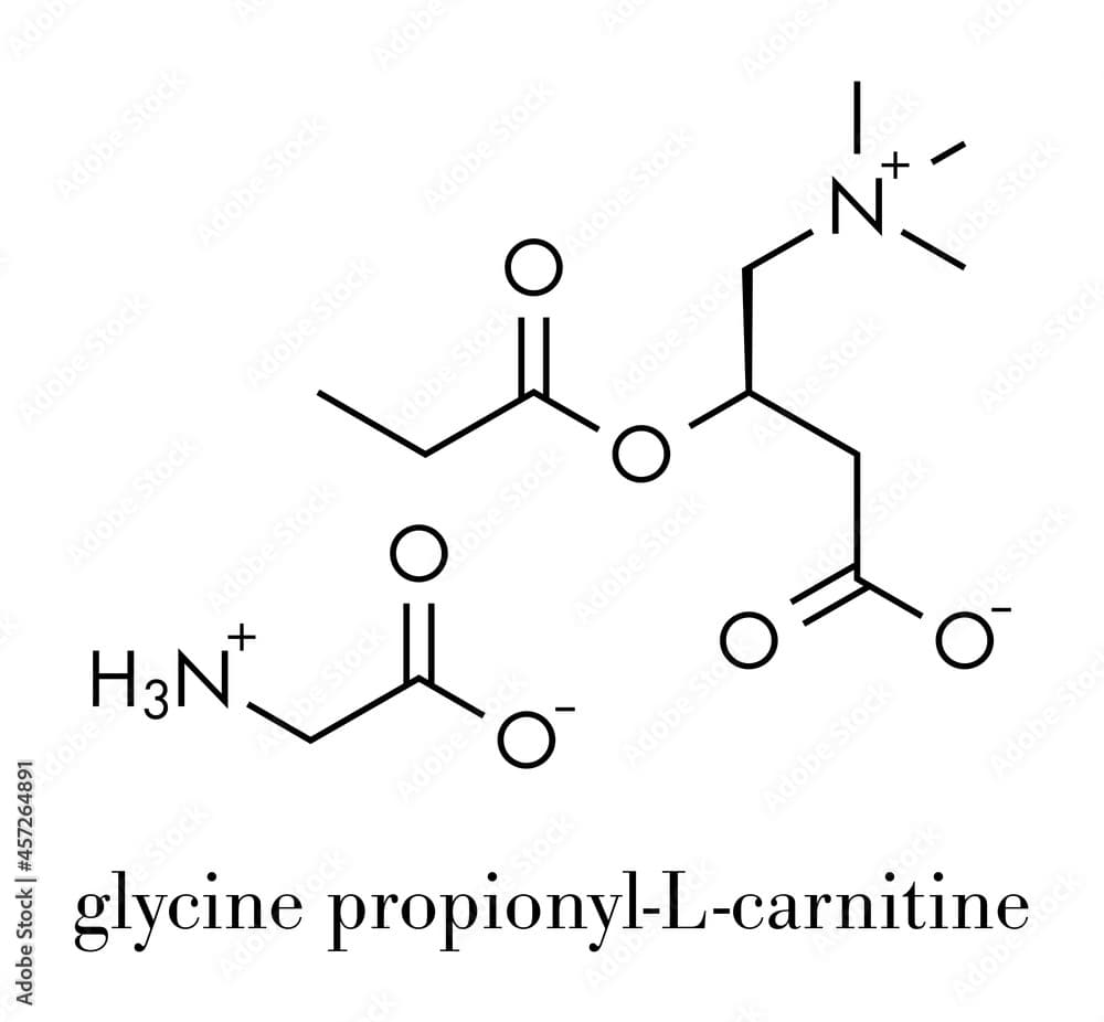 GPLC (glycine propionyl-L-carnitine) nutritional supplement molecule ...