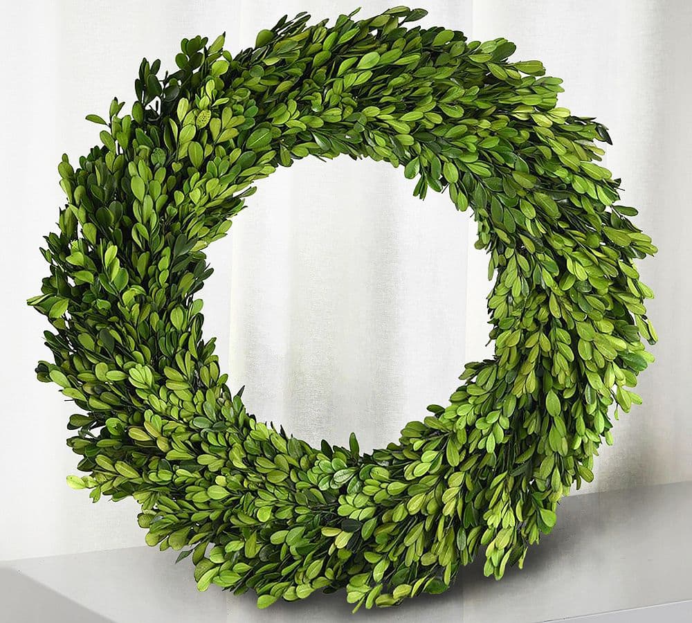 Preserved Boxwood Wreath | Pottery Barn