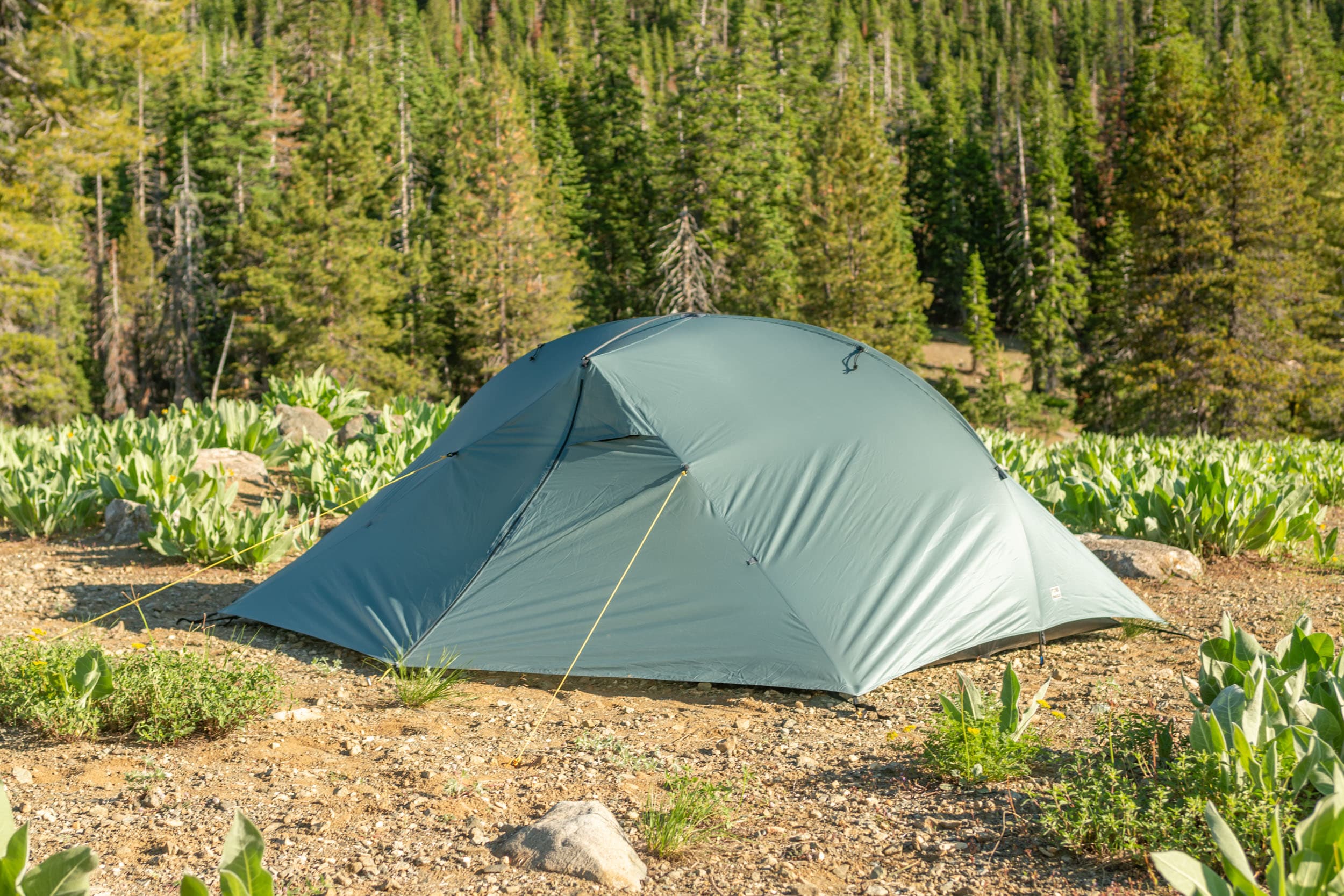 Tarptent Double Rainbow Setup at Colin Fleming blog