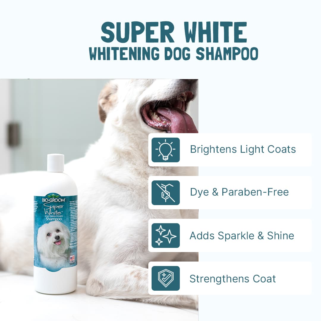 Super White™ Coat Brightener Dog Shampoo | Bio-Groom