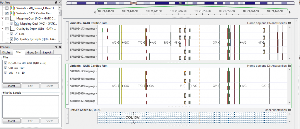 Visually Filtering Data in GenomeBrowse - The Golden Helix Blog