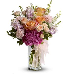 Buy Spring Equinox online at Bloomex Canada