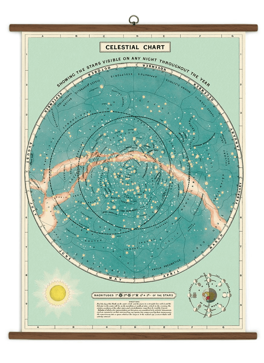 Poster - Vintage - Celestial - Cavallini Papers & Co. Inc.