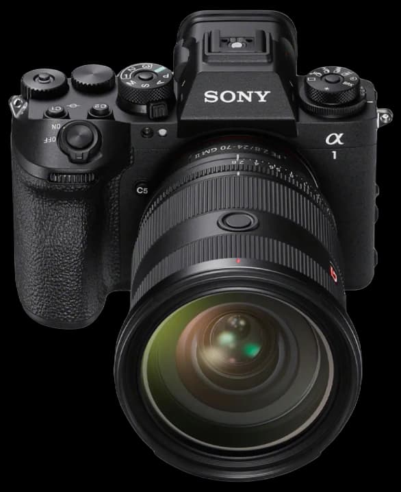 Sony
