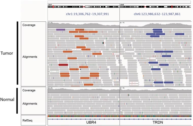 Integrative Genomics Viewer (IGV): high-performance genomics data ...