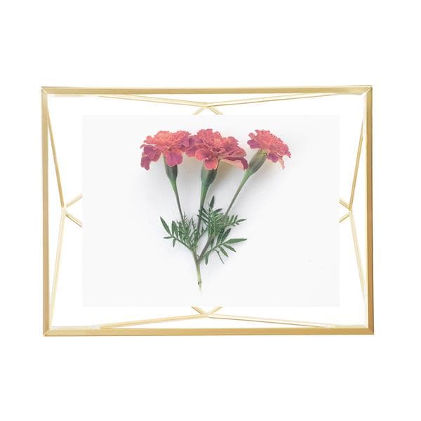 Umbra 4 x 6 Matte Brass Prisma Photo Display 313016-221 | RONA