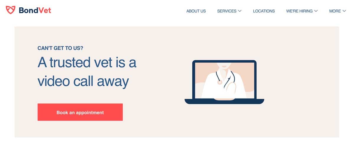 Virtual Vet Visit Options For The Best Online Vet Care