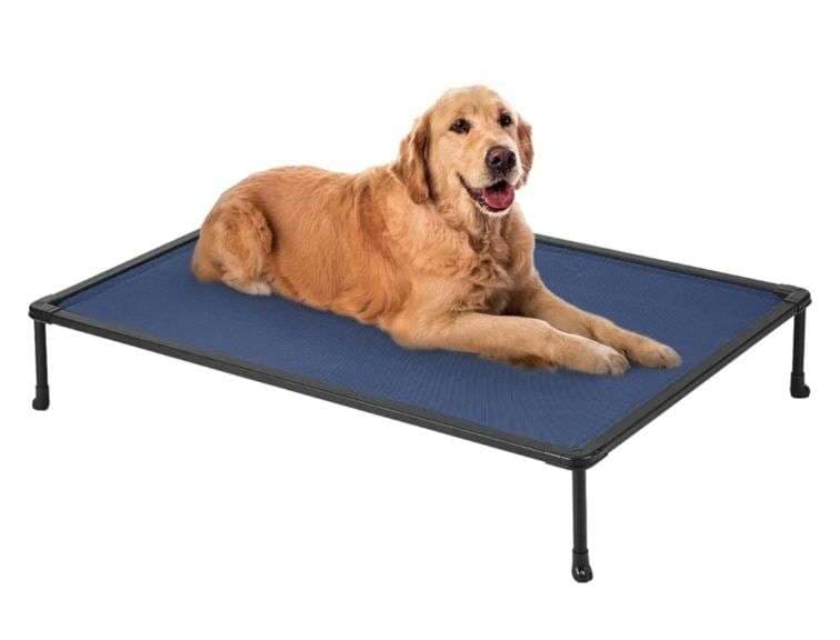 Veehoo Cooling Outdoor Elevated Dog Bed - Metzger Property Services, LLC