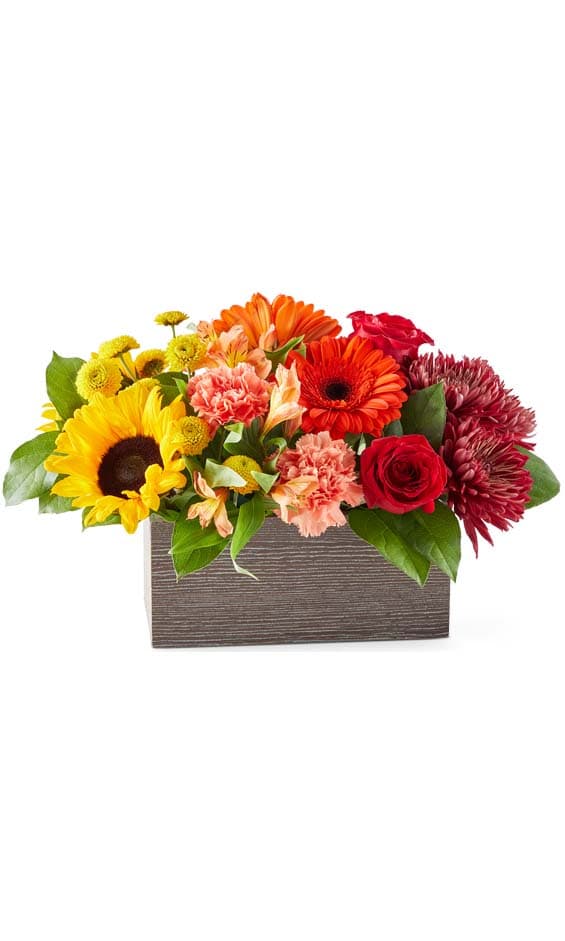 Autumn Orchard Bouquet - Grower Direct Flowers Canada
