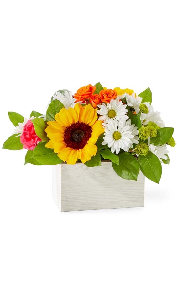 Edmonton Flower Delivery | Award Winning Florist | Grower Direct