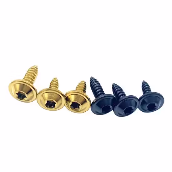 Precision Titanium Screw | OEM Custom Self-Tapping Screws
