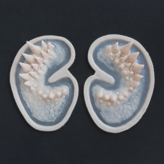 Écailles de visage de dragon / Prothèses en silicone / Sans latex ...