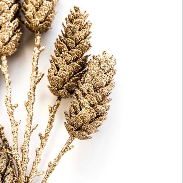 Glitter Pine Cones - Etsy