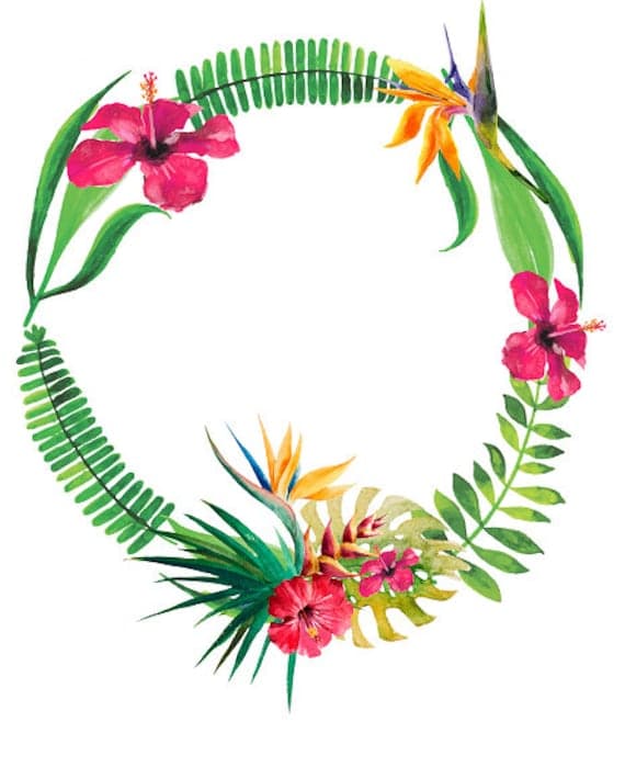 Bird of Paradise Wreath: Add a Tropical Touch to Your Home - Click Here!