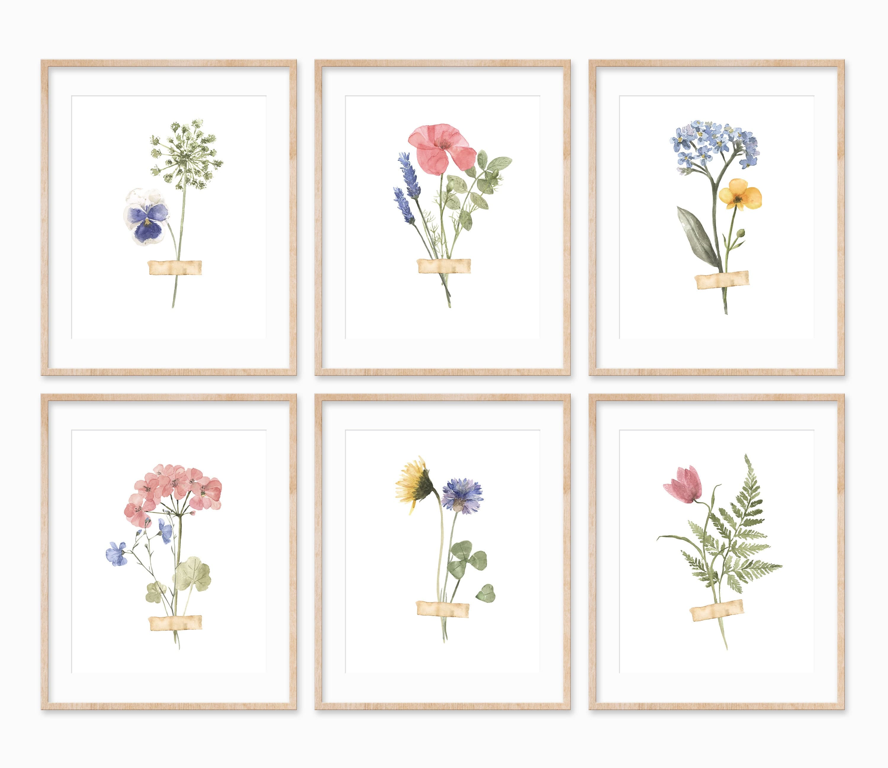 Pressed Flowers Botanical Prints Pressed Floral Prints | Etsy