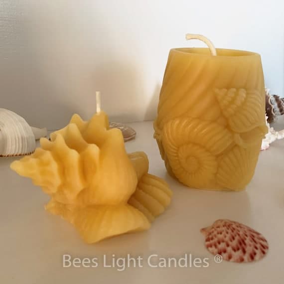 Seashell Beeswax Candle Set / 100% All Natural Beeswax / Sea Shell ...