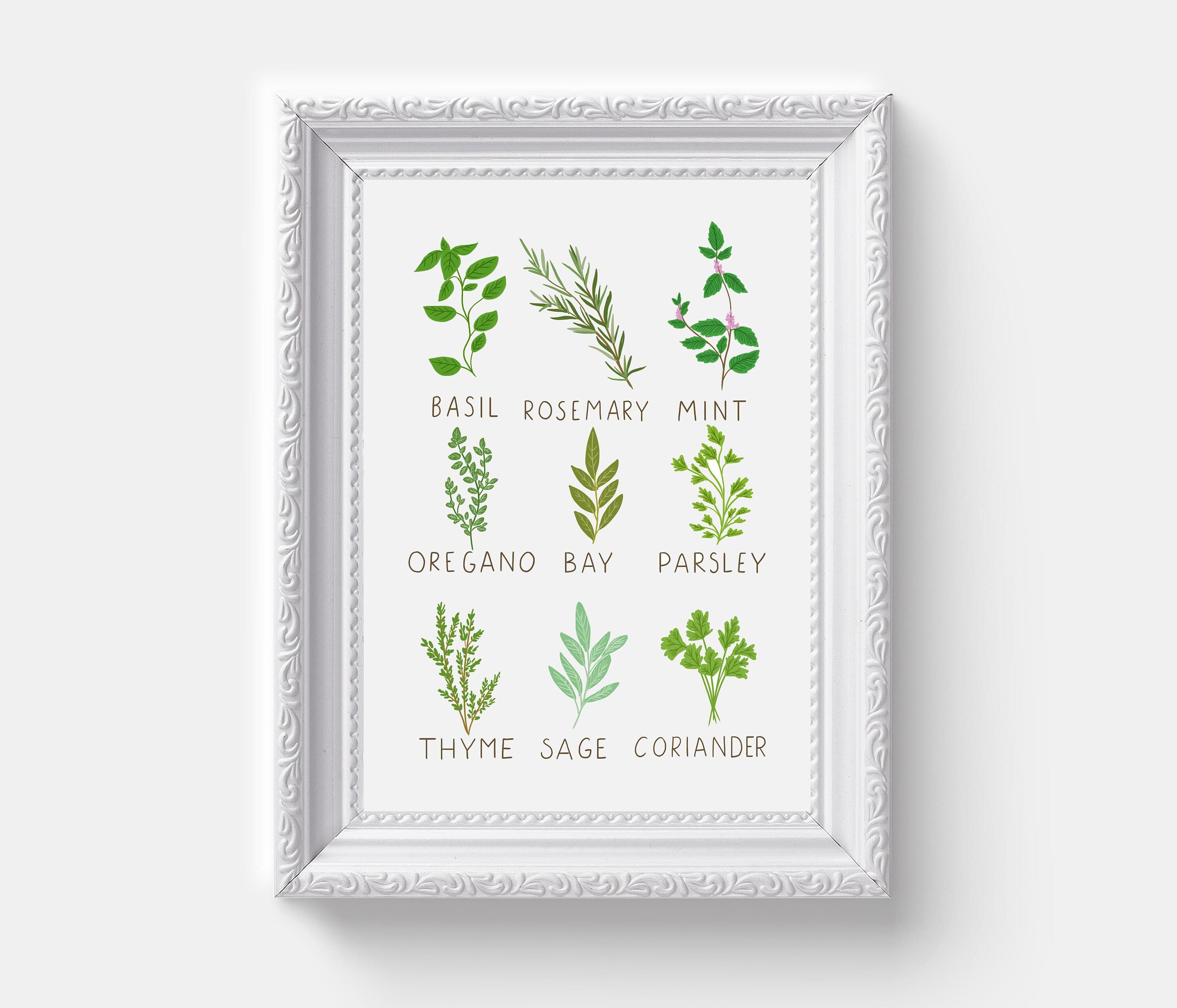 Herbs Kitchen Wall Art Kitchen Decor Herb Print Botanical - Etsy