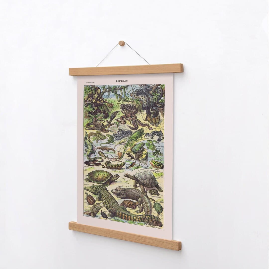 Amphibian Print, Adolphe Millot Reptile Print, Larousse Reptiles Poster ...