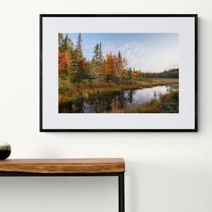 Algonquin Park Landscape, Impressionist Photo Painting, Fall Colours ...