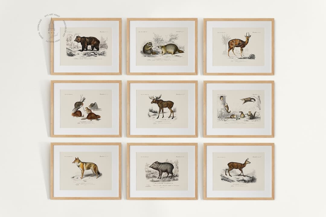 Woodland Animal Gallery Wall Set of 9, Woodland Nursery Art Prints ...
