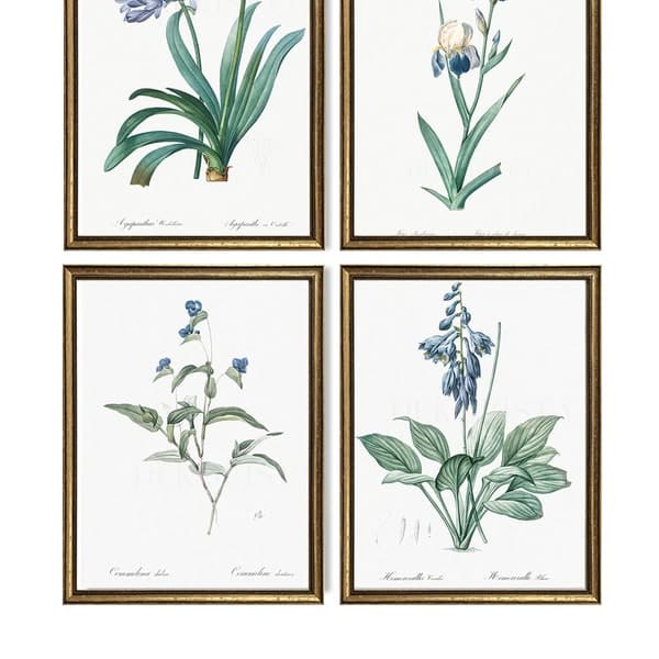 Framed Botanical Prints - Etsy