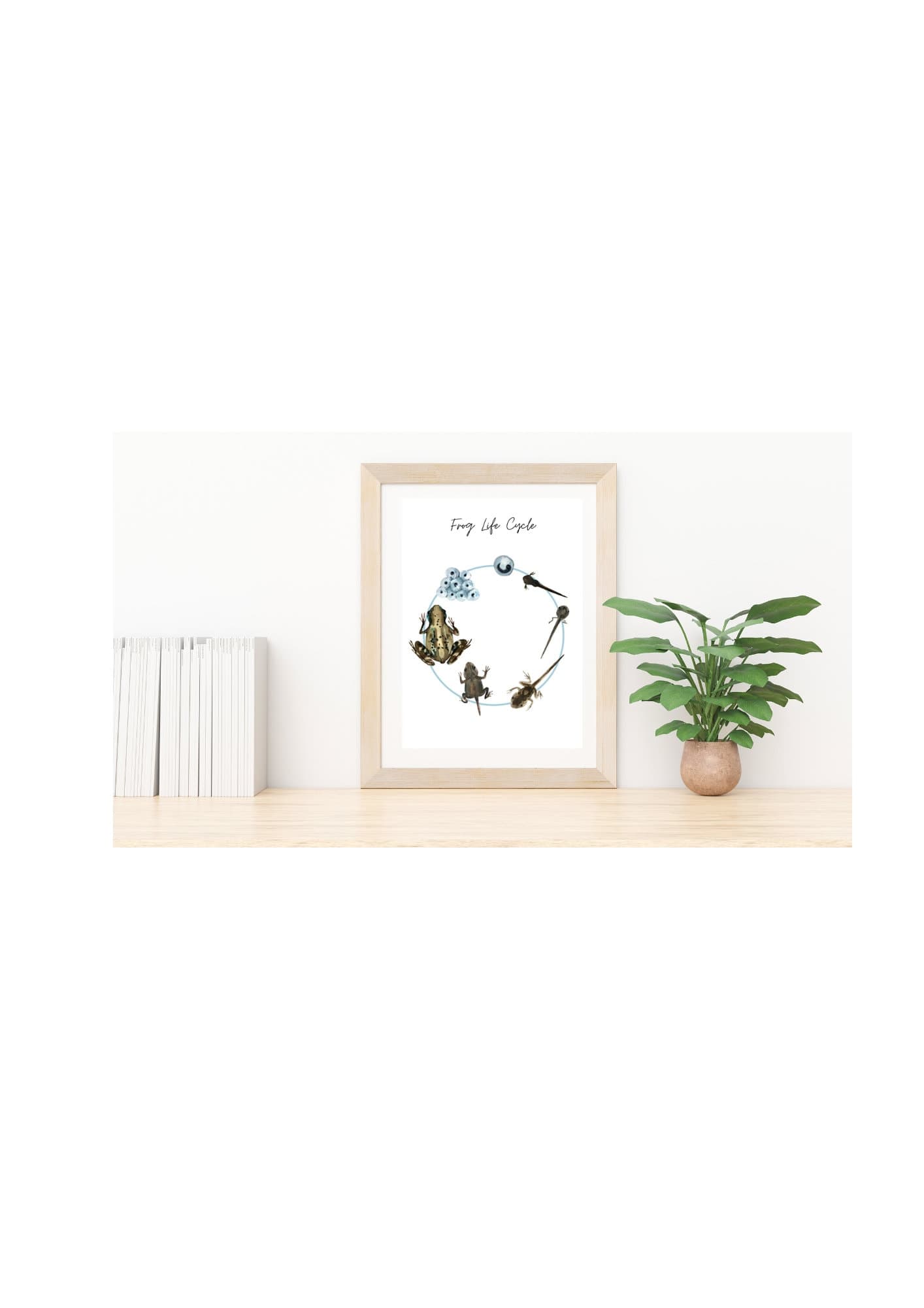 Frog Life Cycle Nature Print - Etsy