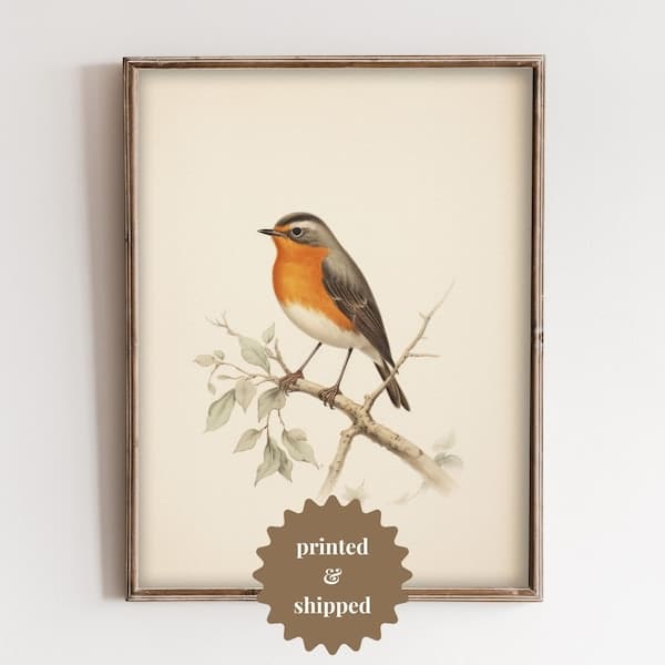 Robin Painting - Etsy