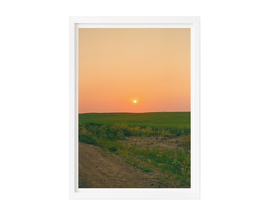 Fine Art Photography Print | Prairie Field Sunset Golden Hour Print ...