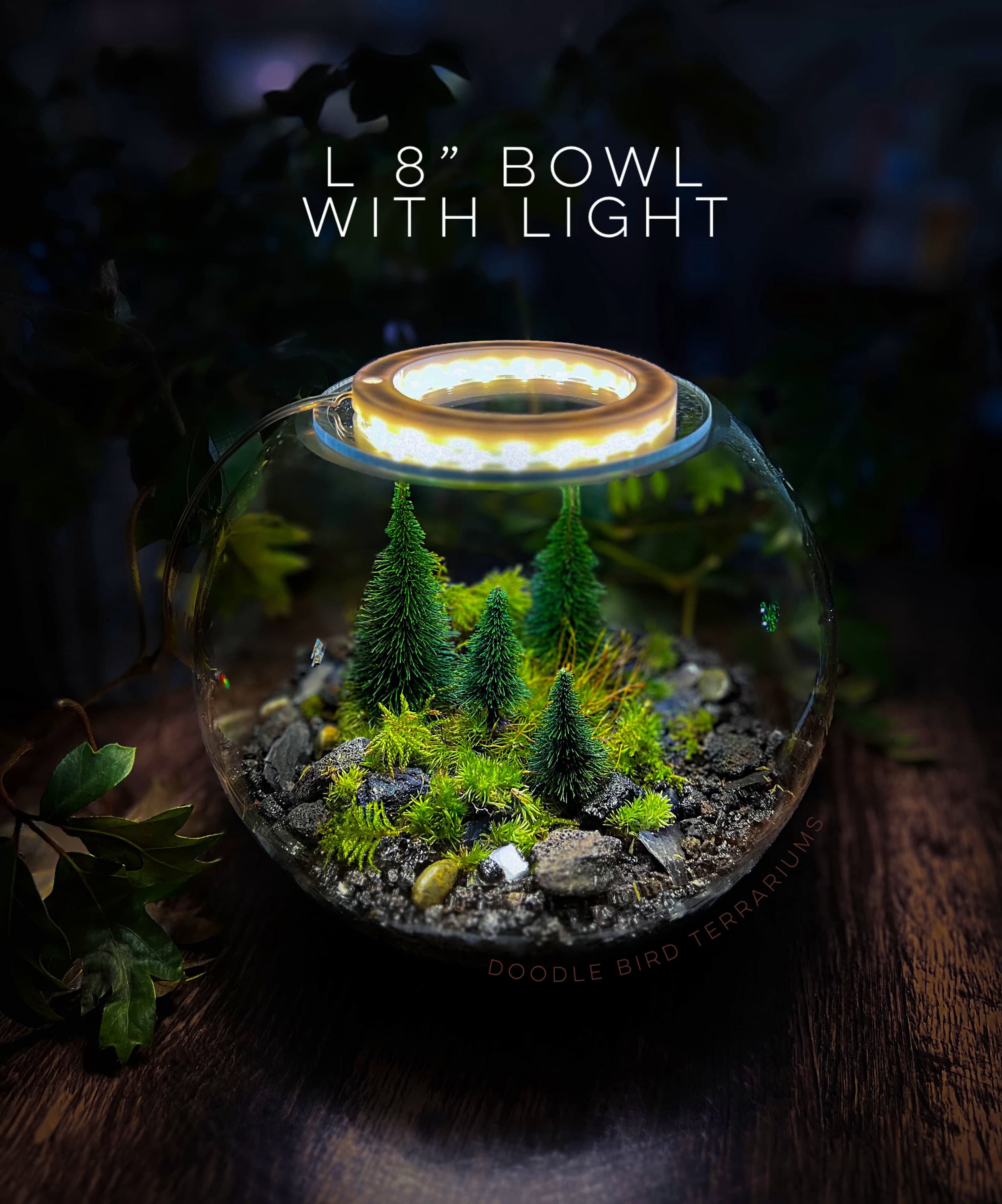 Halo Light for Terrariums Grow Lamp
