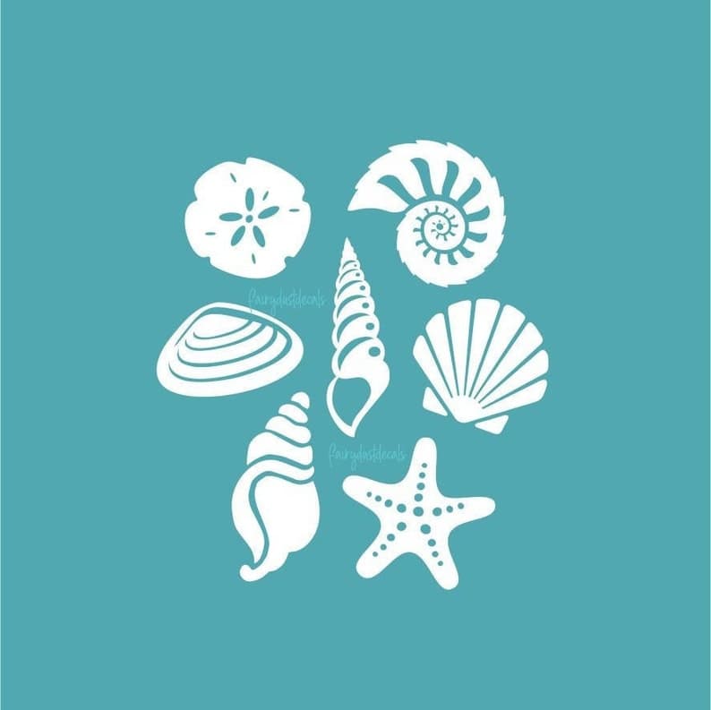 Seashell Wall Decals Beach Decor Vinyl Stickers Beach Sea | Etsy