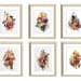 Pressed Flowers Framed Botanical Art Print Art Dried Flowers Art Framed ...
