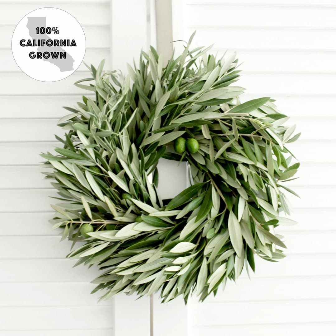 Fresh Handmade Olive Branch Wreath 12" - Greenery Wreath for Front Door ...
