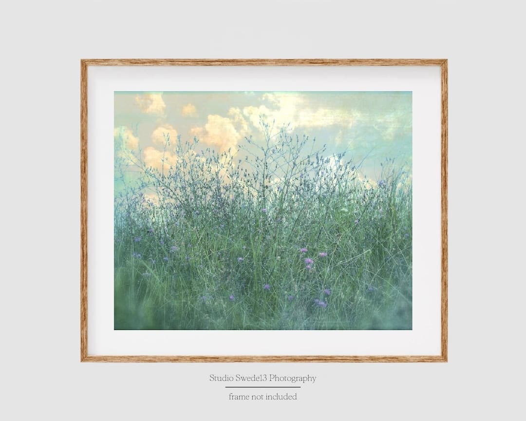 Field of Dreams- Country Field Photo, Wildflowers, Nature Landscape ...