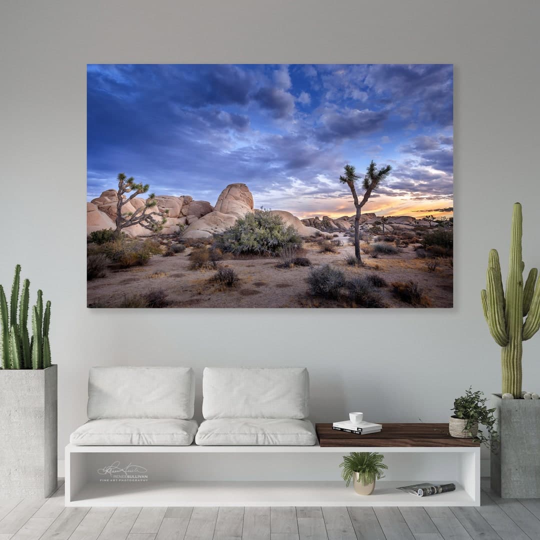 Joshua Tree National Park/mojave Desert/southwest Nature Landscape/fine ...
