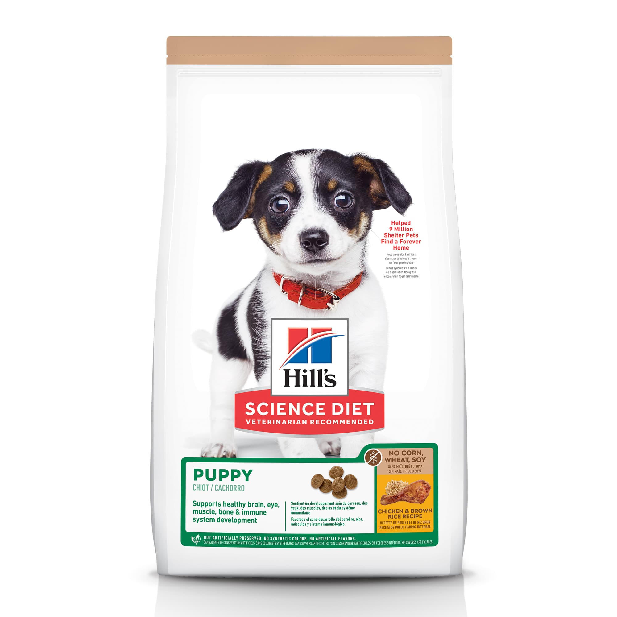 The Essential Nutrients in Puppy Kibble - Pet Food Guide