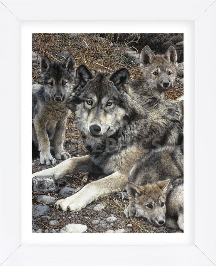 Den Mother (detail) (Framed) | Wolf pictures, Wolf art print, Cute animals
