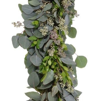 Bulk Silver Dollar Seeded Eucalyptus Garland | FiftyFlowers | Fresh ...