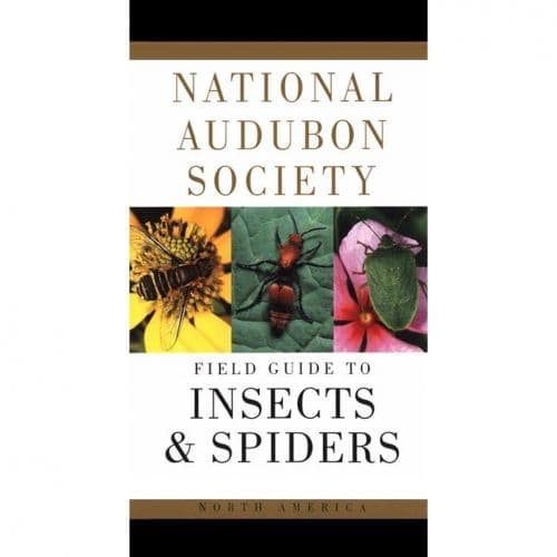 Insects and Spiders: National Audubon Society Field Guide - Insect ...