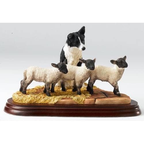 Border fine arts | Border collie, Collie, Dog themed