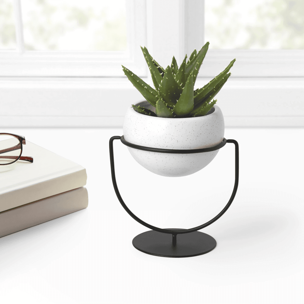 Nesta Desktop Planter | Shop Modern Tabletop Planters – Umbra | Modern ...