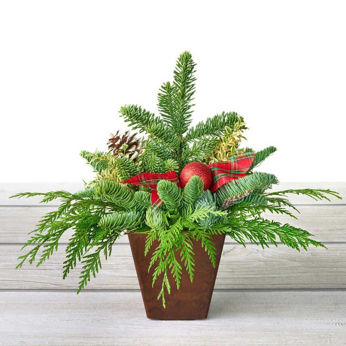 Fresh Northwest Greens Holiday Centerpiece | Holiday centerpieces ...
