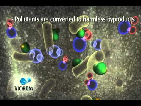 BIOREM - How A Biofilter Works.avi - YouTube