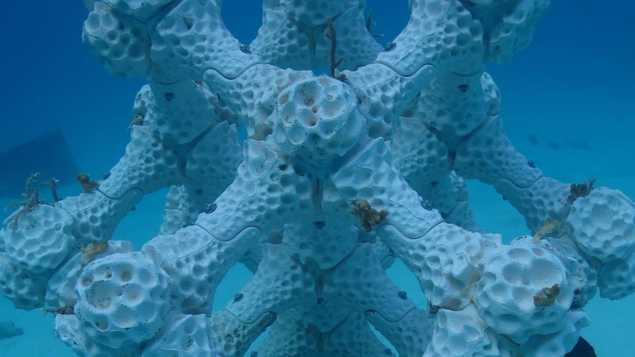 Modular artificial reef system by Alex Goad - YouTube