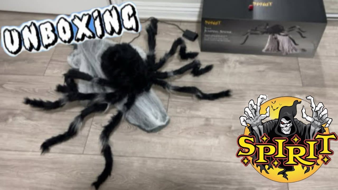 How to Set Up Jumping Spider Animatronic - YouTube