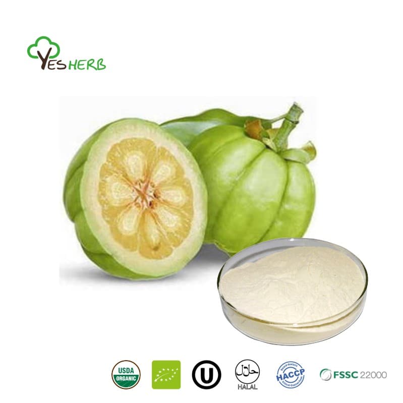 Garcinia Cambogia Extract Price