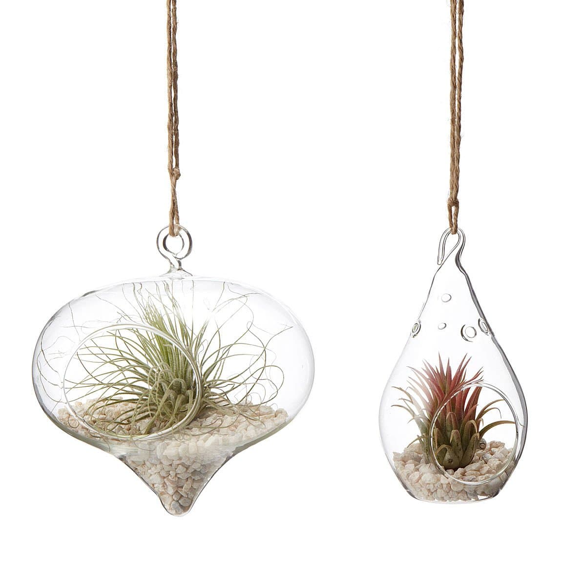 Hanging Teardrop Terrarium Garden - Set of 2 | air plant terrarium ...