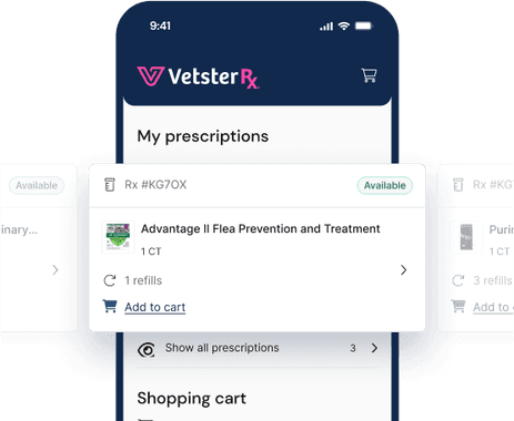 Rx Refill allows veterans to refill medicine through app | wltx.com