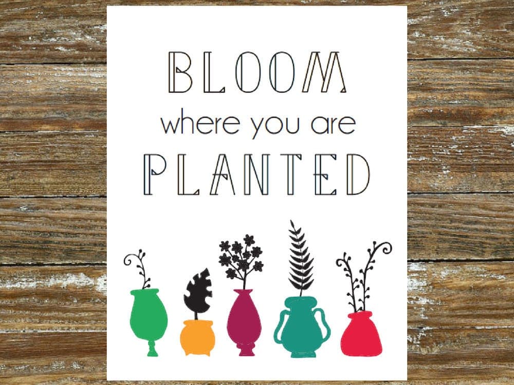 Bloom Where You Are Planted whimsical wall art print INSTANT